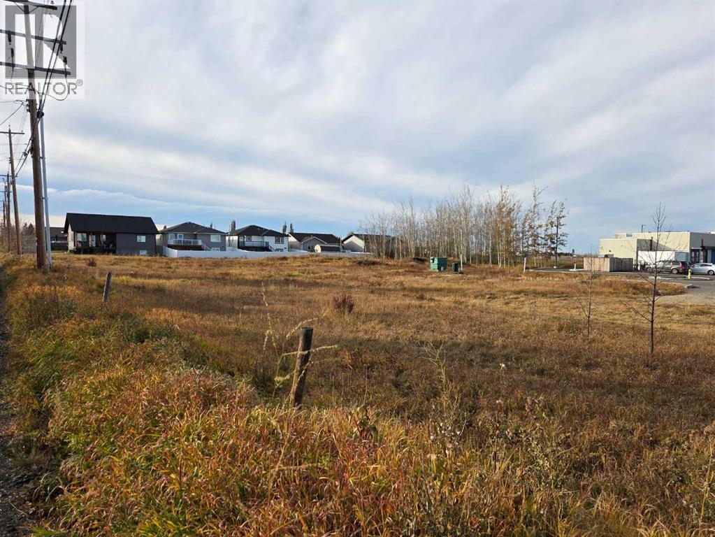 2412 20th Street, Didsbury, Alberta  T0M 0A2 - Photo 8 - A2224725