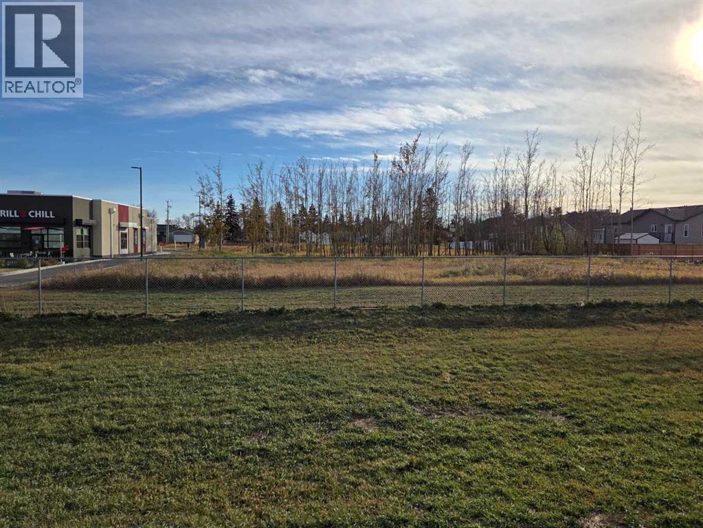 2412 20th Street, Didsbury, Alberta  T0M 0A2 - Photo 4 - A2224725