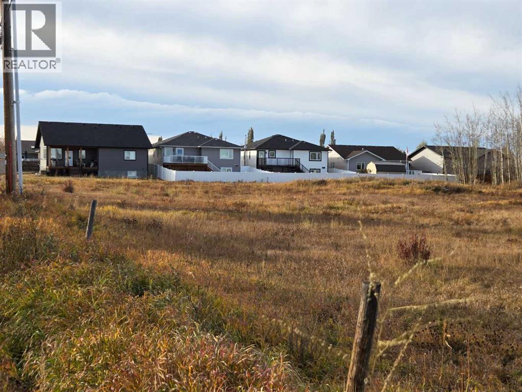 2412 20th Street, Didsbury, Alberta  T0M 0A2 - Photo 9 - A2224725