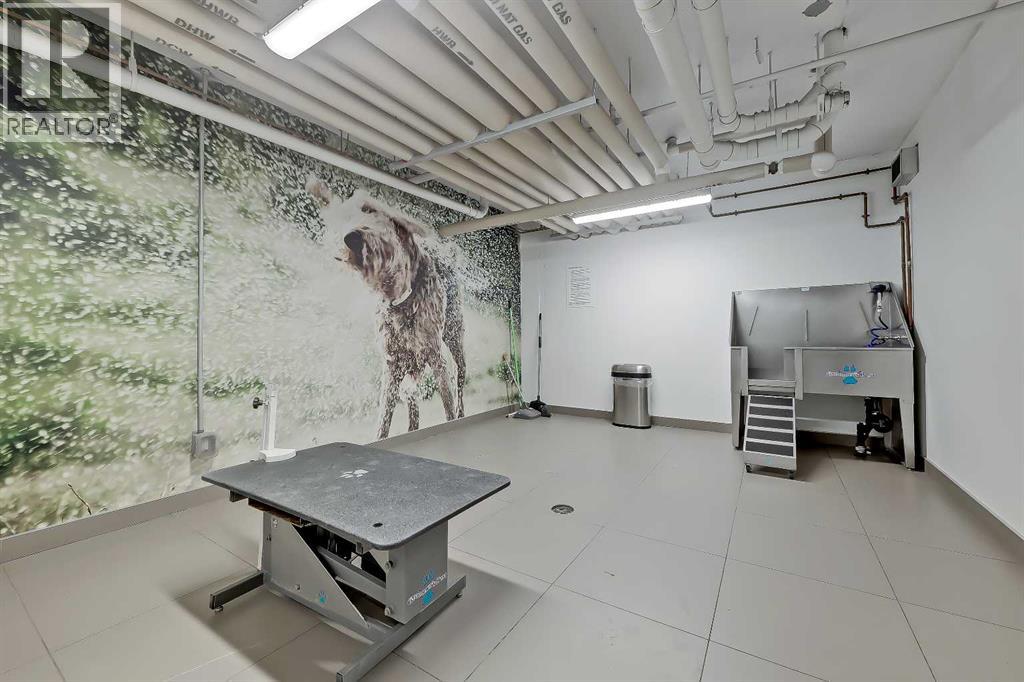 510, 88 9 Street Ne, Calgary, Alberta  T2E 4E1 - Photo 34 - A2248875