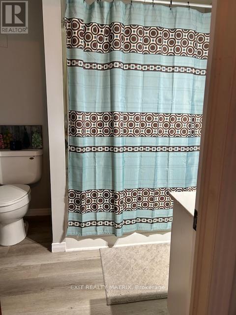 376 Telegraph Road, Alfred And Plantagenet, Ontario  K0B 1A0 - Photo 11 - X12482484