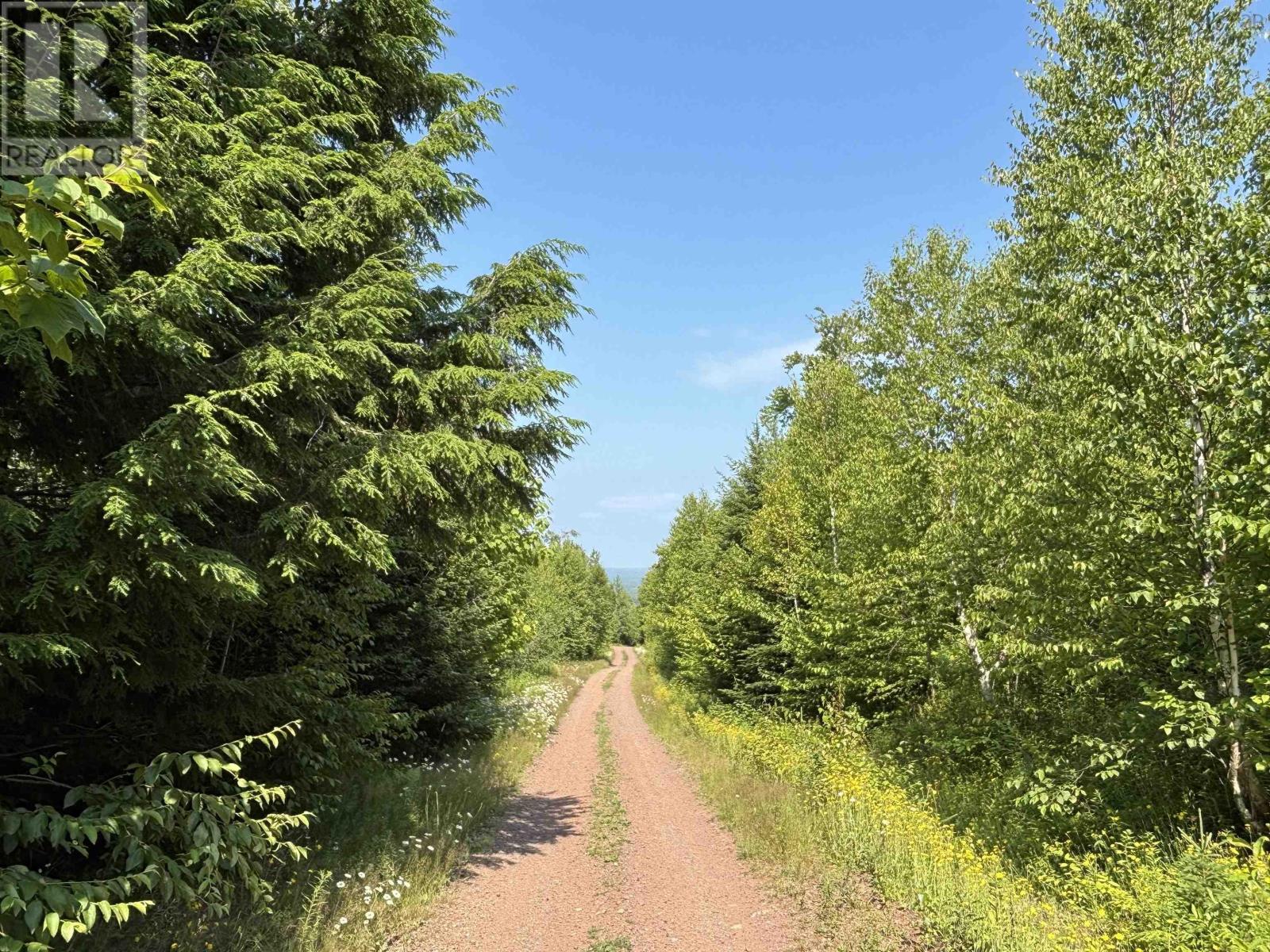 80 Acres Scotsburn Road, West Branch, Nova Scotia