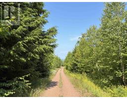 80 Acres Scotsburn Road, West Branch, Nova Scotia