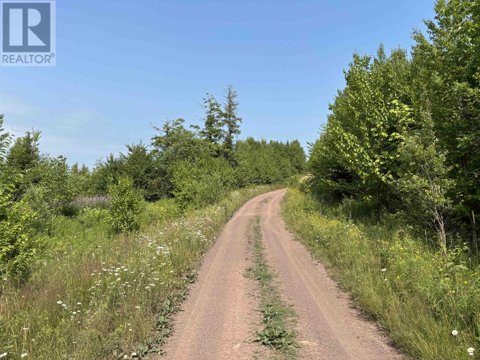 80 Acres Scotsburn Road, West Branch, Nova Scotia  B0K 1R0 - Photo 15 - 202501542