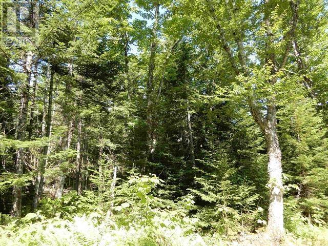 80 Acres Scotsburn Road, West Branch, Nova Scotia  B0K 1R0 - Photo 12 - 202501542