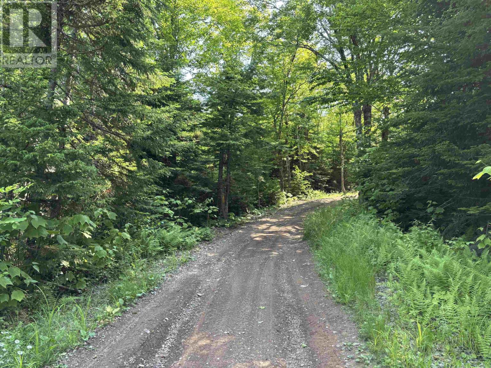 80 Acres Scotsburn Road, West Branch, Nova Scotia  B0K 1R0 - Photo 18 - 202501542