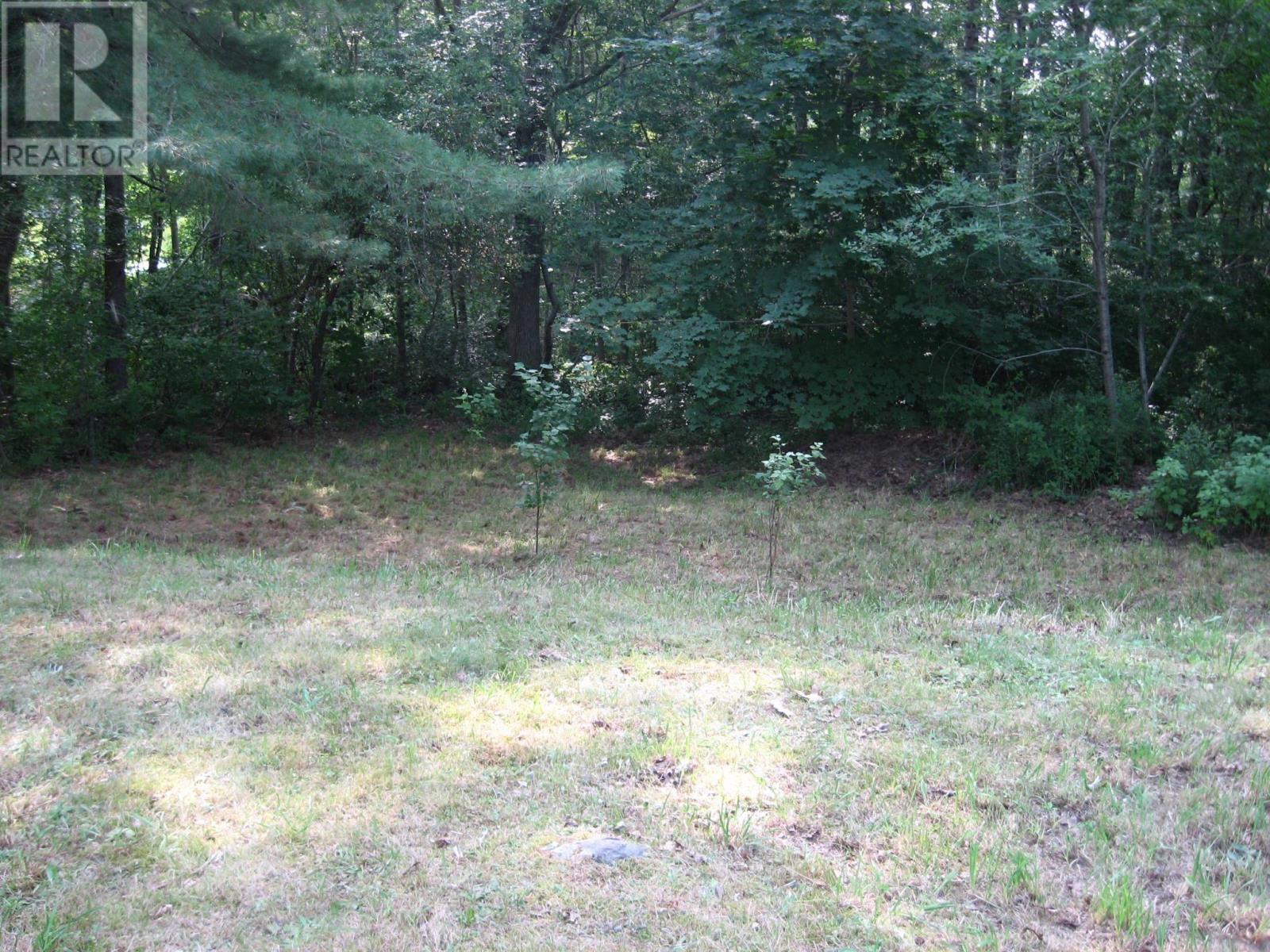 4109 Highway 3, Brooklyn, Nova Scotia  B0J 1H0 - Photo 13 - 202520119