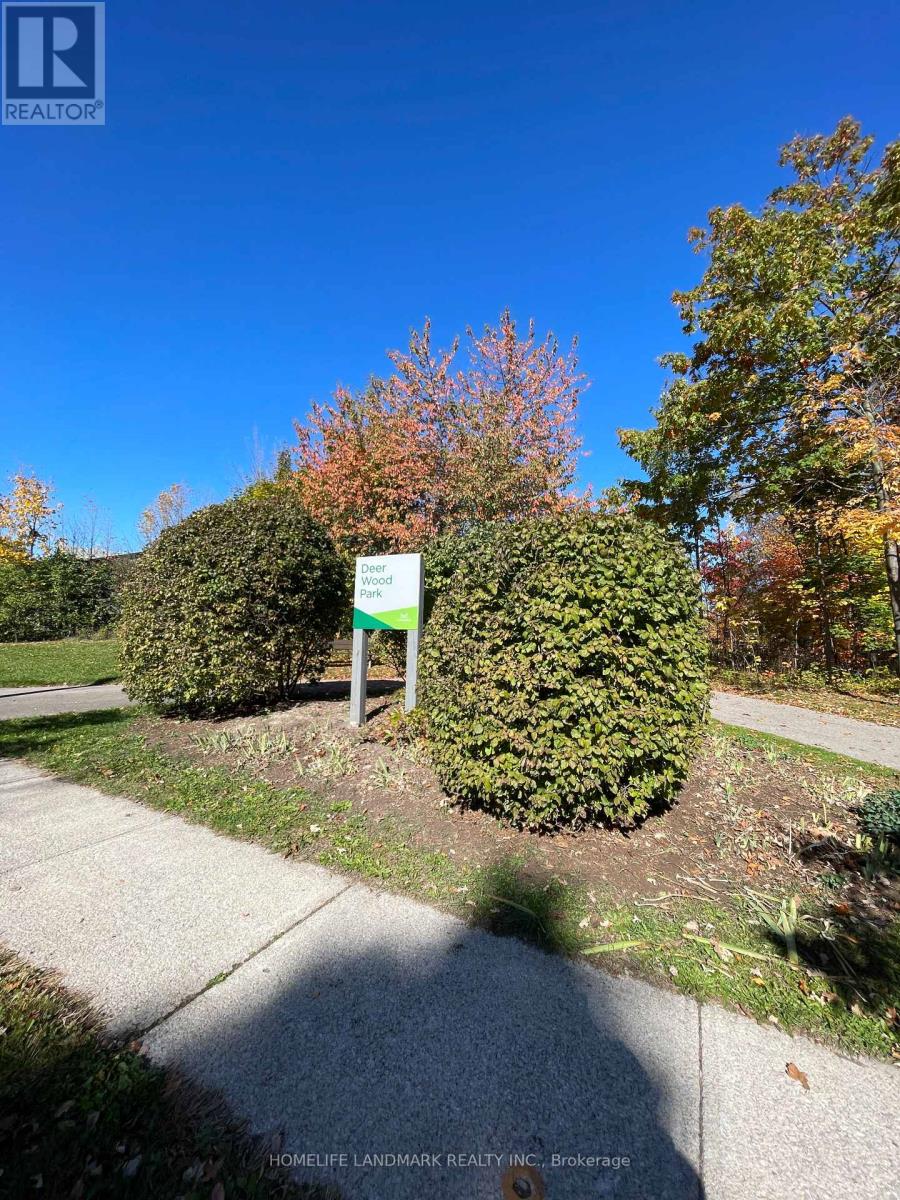 1016 Lucerne Crescent, Mississauga, Ontario  L5C 3Y6 - Photo 19 - W12483123