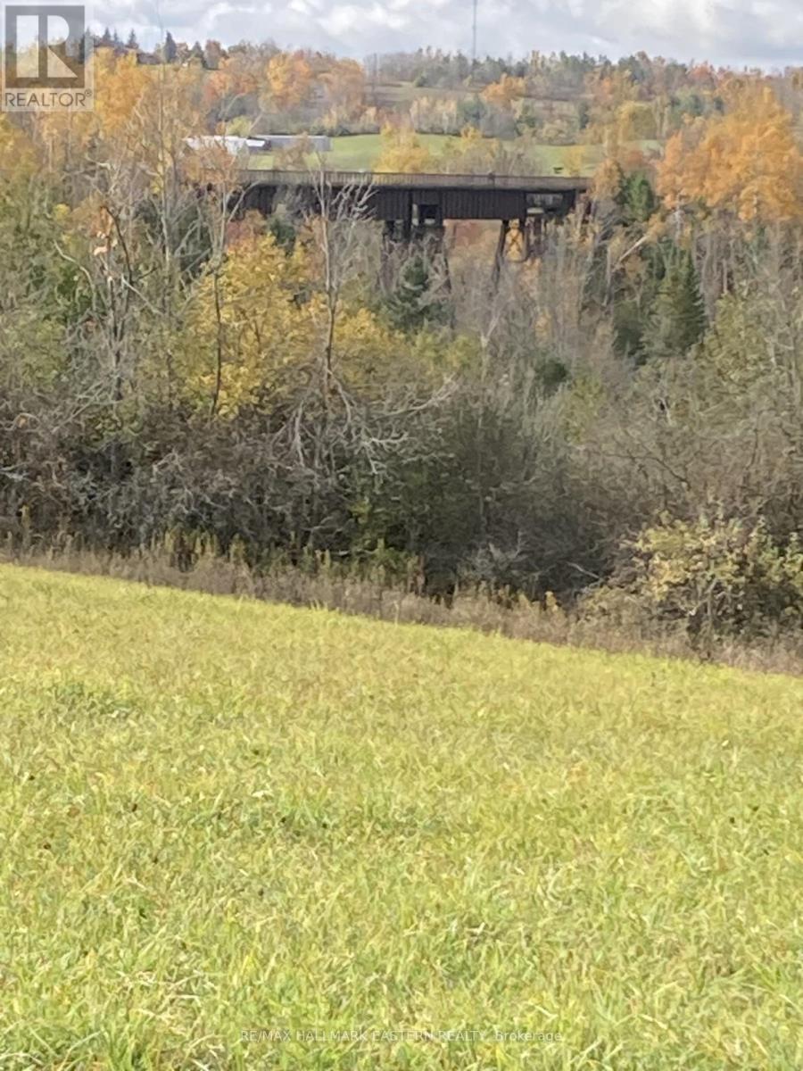 323 ORANGE CORNERS ROAD, Kawartha Lakes, Ontario