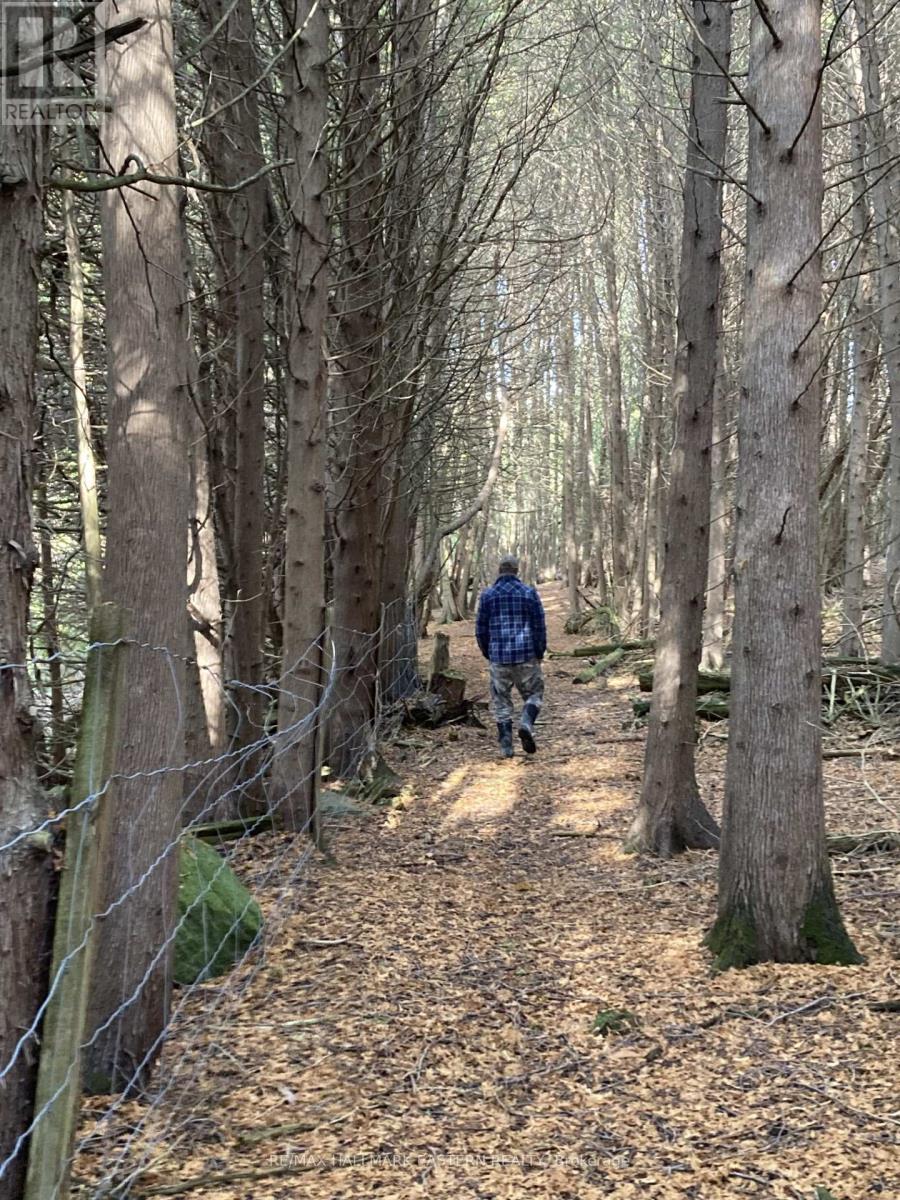 323 Orange Corners Road, Kawartha Lakes (Emily), Ontario  K0L 2W0 - Photo 2 - X12483598