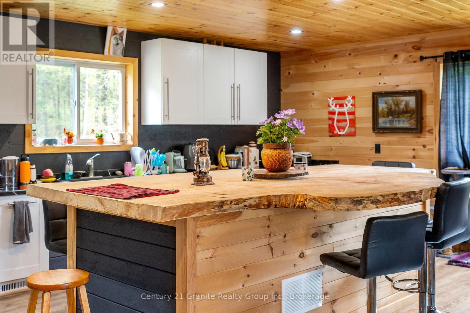 10498 Highway 118, Algonquin Highlands, Ontario  K0M 1J0 - Photo 2 - X12483595