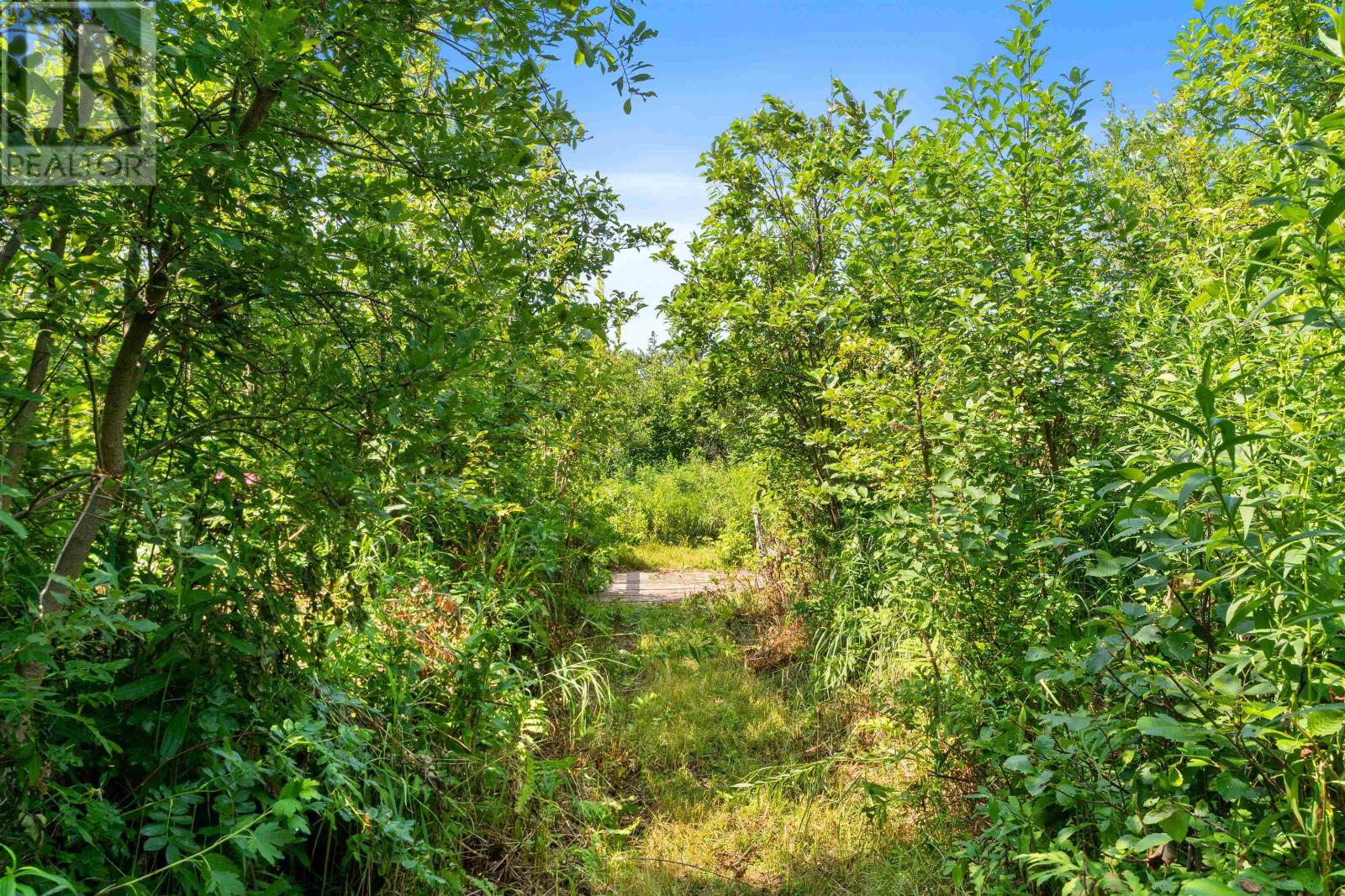 11929 Route 14, Pleasant View, Prince Edward Island  C0B 1Z0 - Photo 28 - 202518930