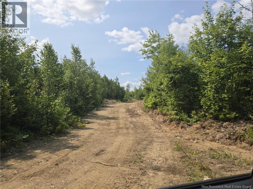 349 Bellefond Road, Bellefond, New Brunswick E1V 4T6 - Photo 47 - NB125268