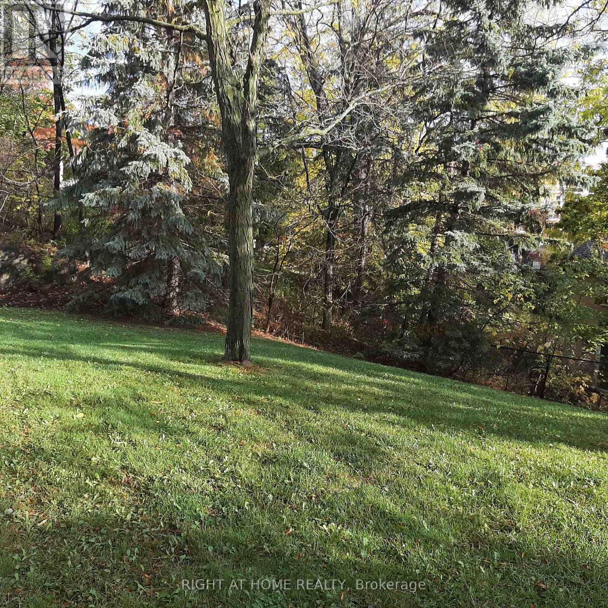 17 - 37 Old Firehall Lane, Vaughan, Ontario  L4L 8W3 - Photo 30 - N12483666