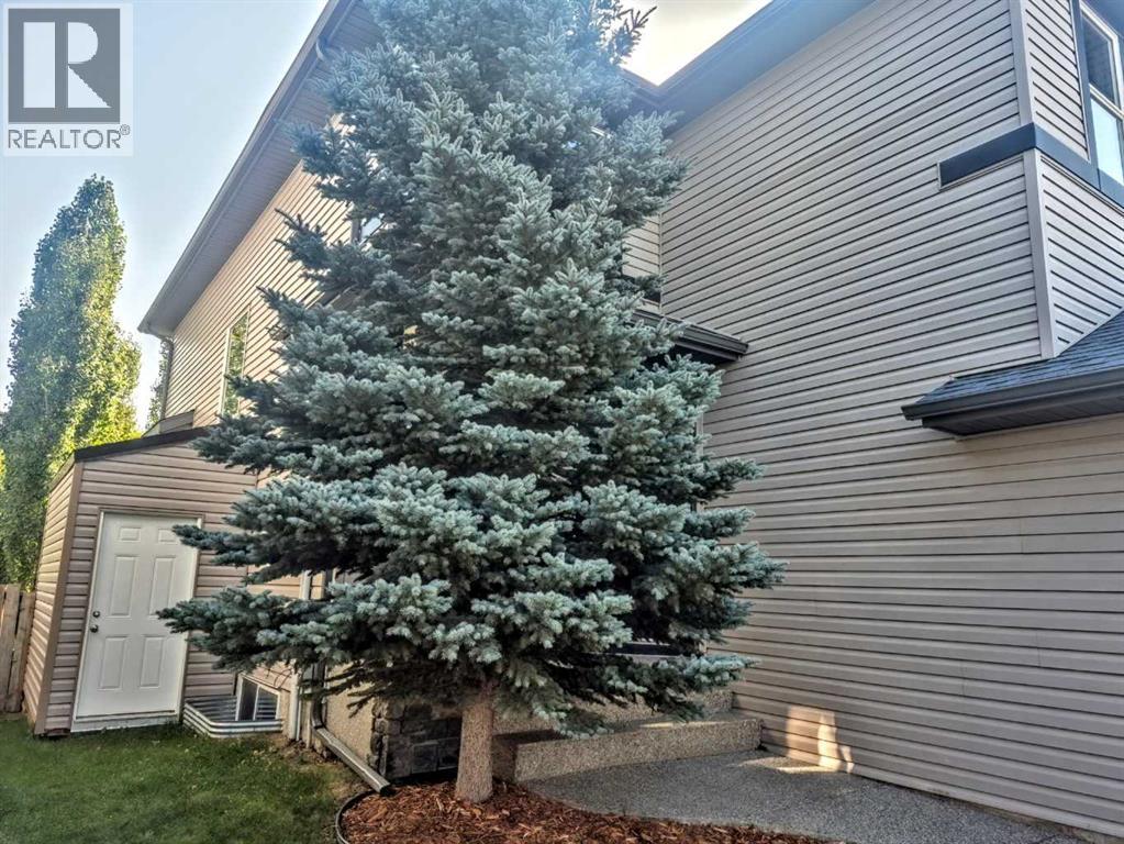 116 Willowmere Way, Chestermere, Alberta  T1X 0E1 - Photo 44 - A2253981