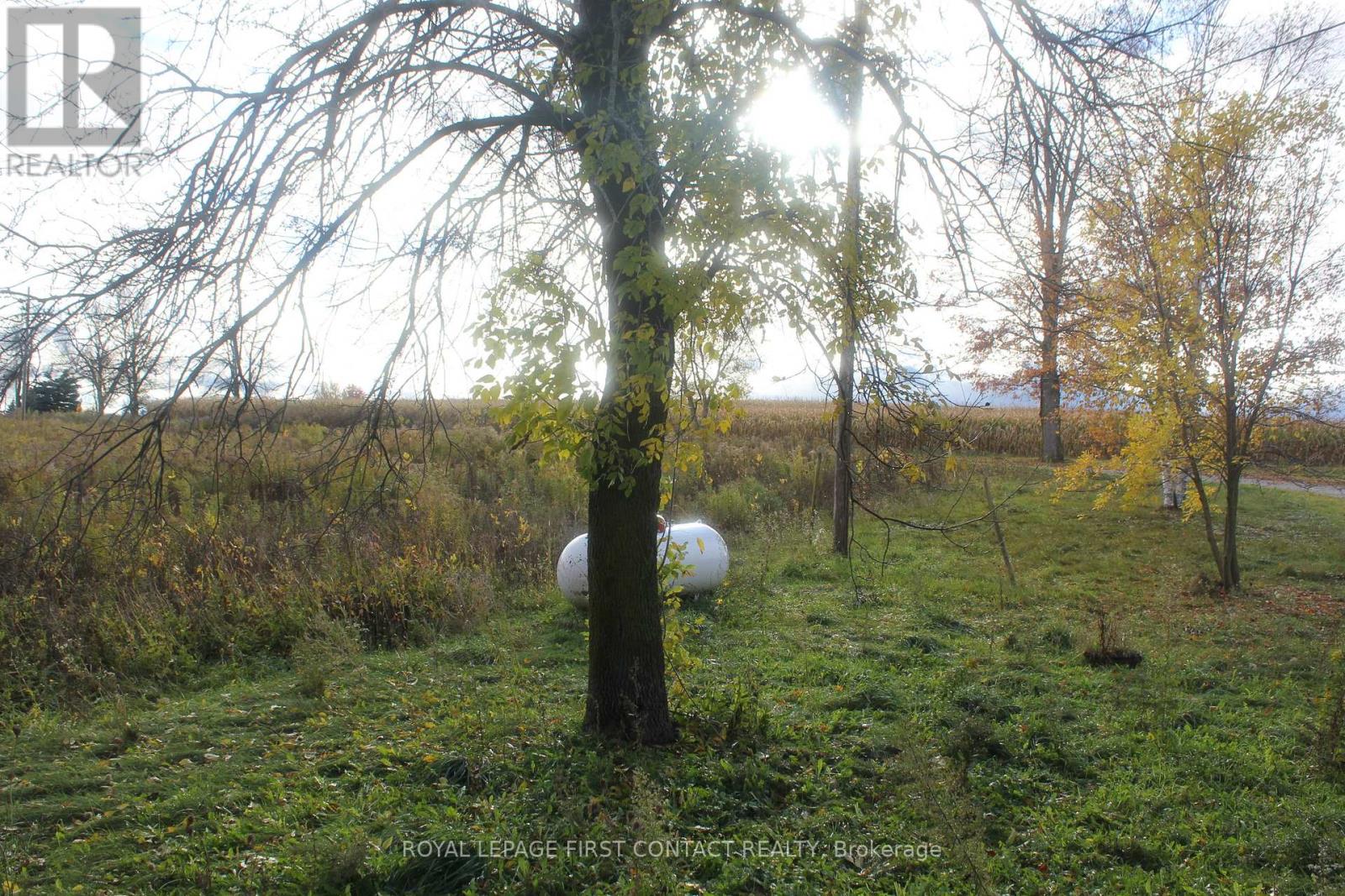280 Concession 10 Road, Brockton, Ontario  N0G 1J0 - Photo 5 - X12483646