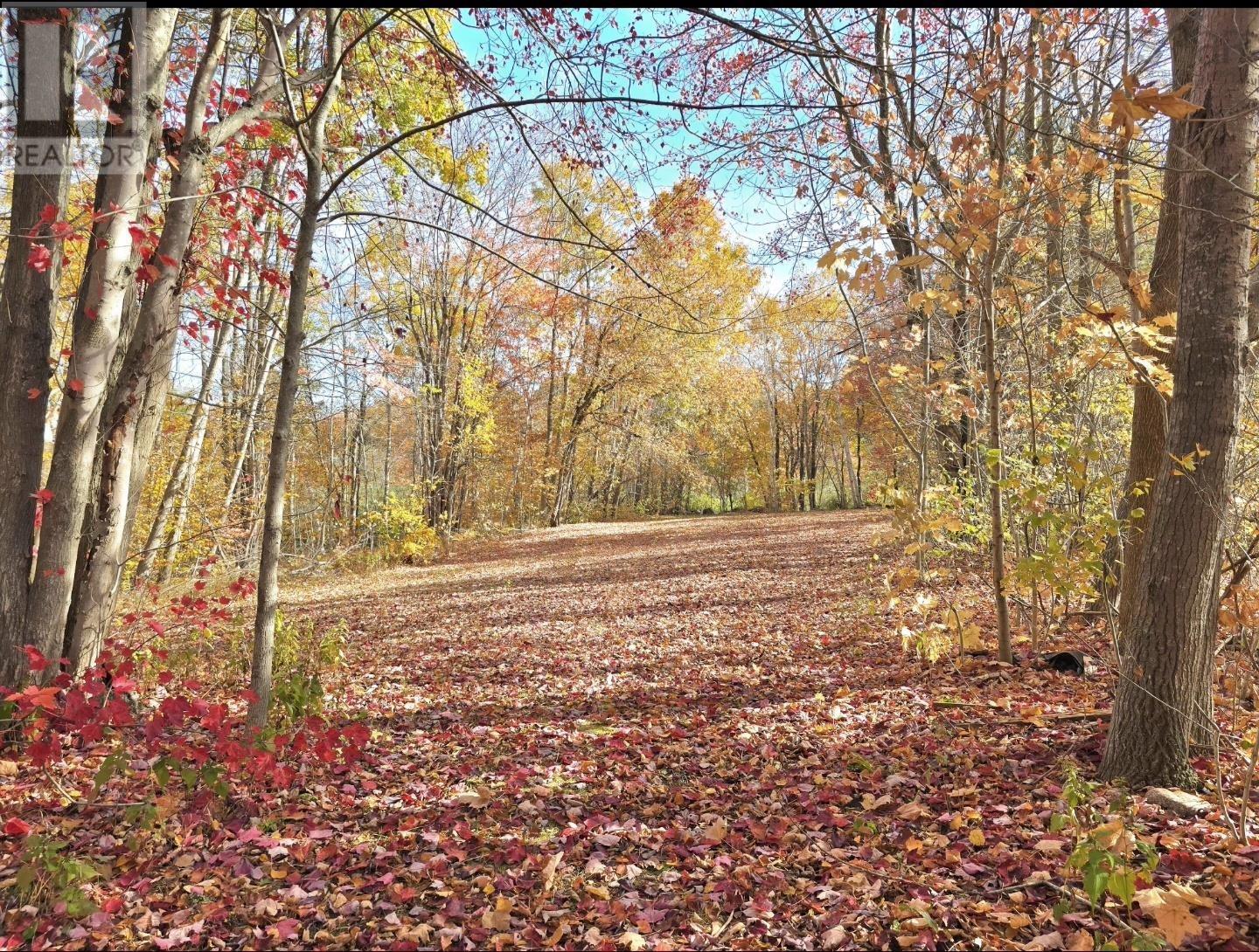 8921 221 Highway, Sheffield Mills, Nova Scotia  B0P 1H0 - Photo 9 - 202526305