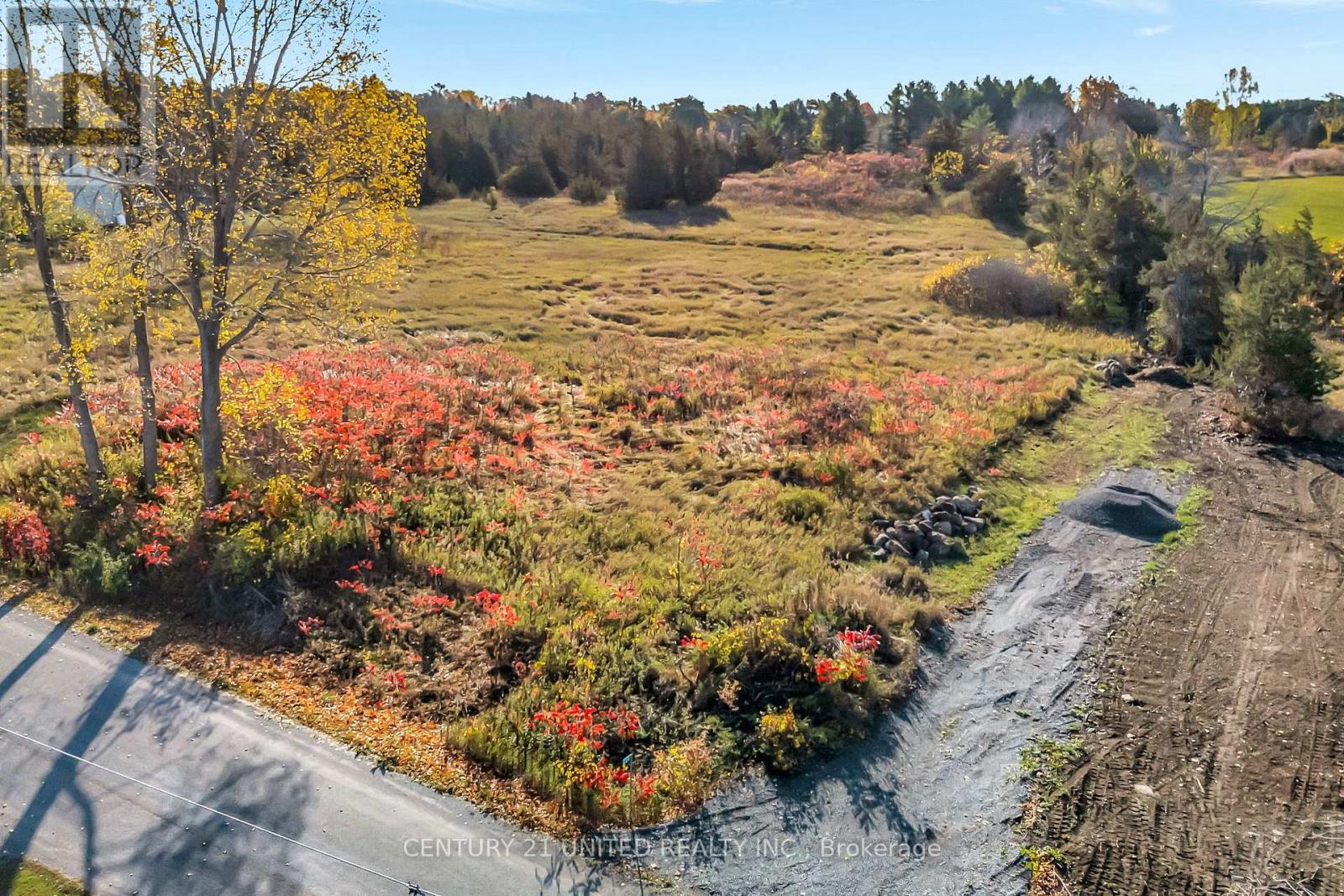 226 Prinyers Cove Crescent, Prince Edward County (North Marysburg Ward), Ontario  K0K 2T0 - Photo 15 - X12483899