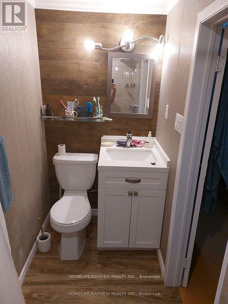 Bsmnt - 184 Goulding Avenue, Toronto, Ontario  M2R 2P4 - Photo 3 - C12483773