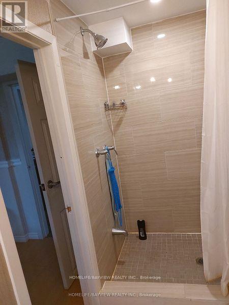 Bsmnt - 184 Goulding Avenue, Toronto, Ontario  M2R 2P4 - Photo 4 - C12483773