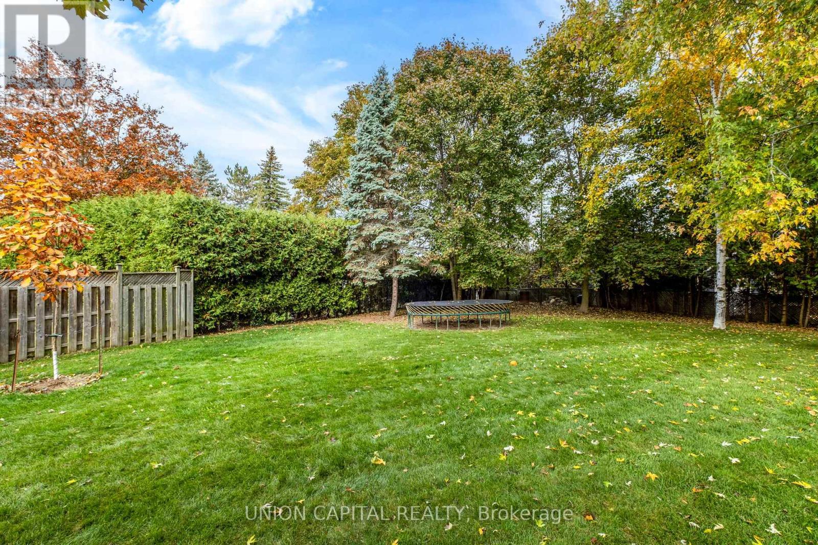 26 Pegg's Crescent, East Gwillimbury, Ontario  L9N 1B3 - Photo 43 - N12483810