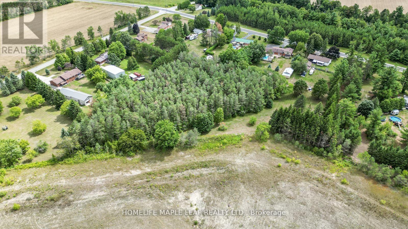 6168 County Road 9, Clearview, Ontario  L0M 1N0 - Photo 35 - S12483806