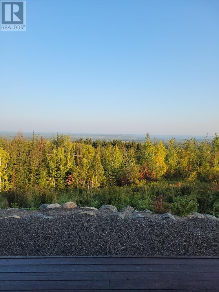 1516 Highway 595, Gillies, Ontario  P0T 2V0 - Photo 13 - TB253313