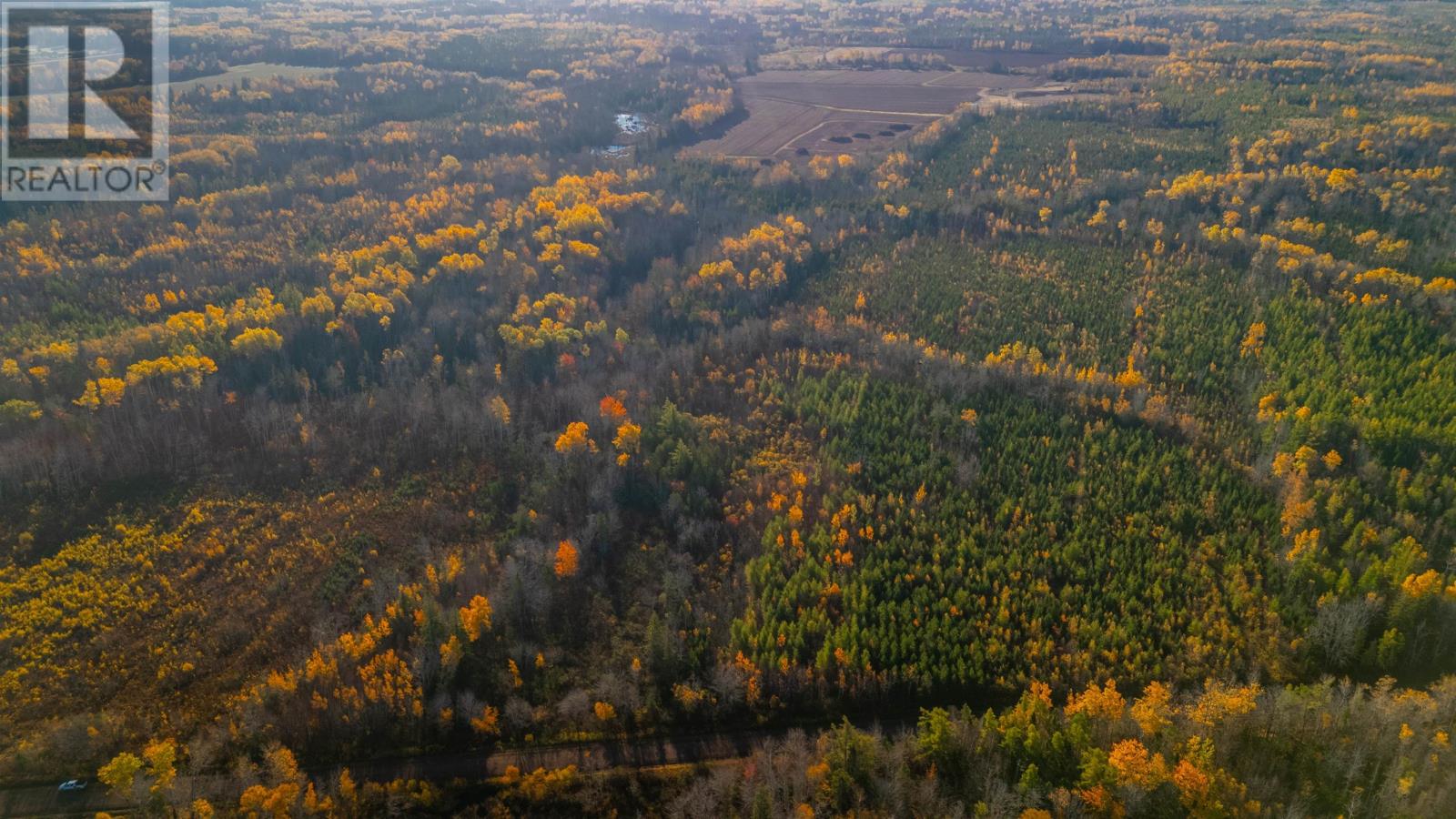 Acreage Doyle Road, Glengarry, Prince Edward Island  C0B 1E0 - Photo 10 - 202526639