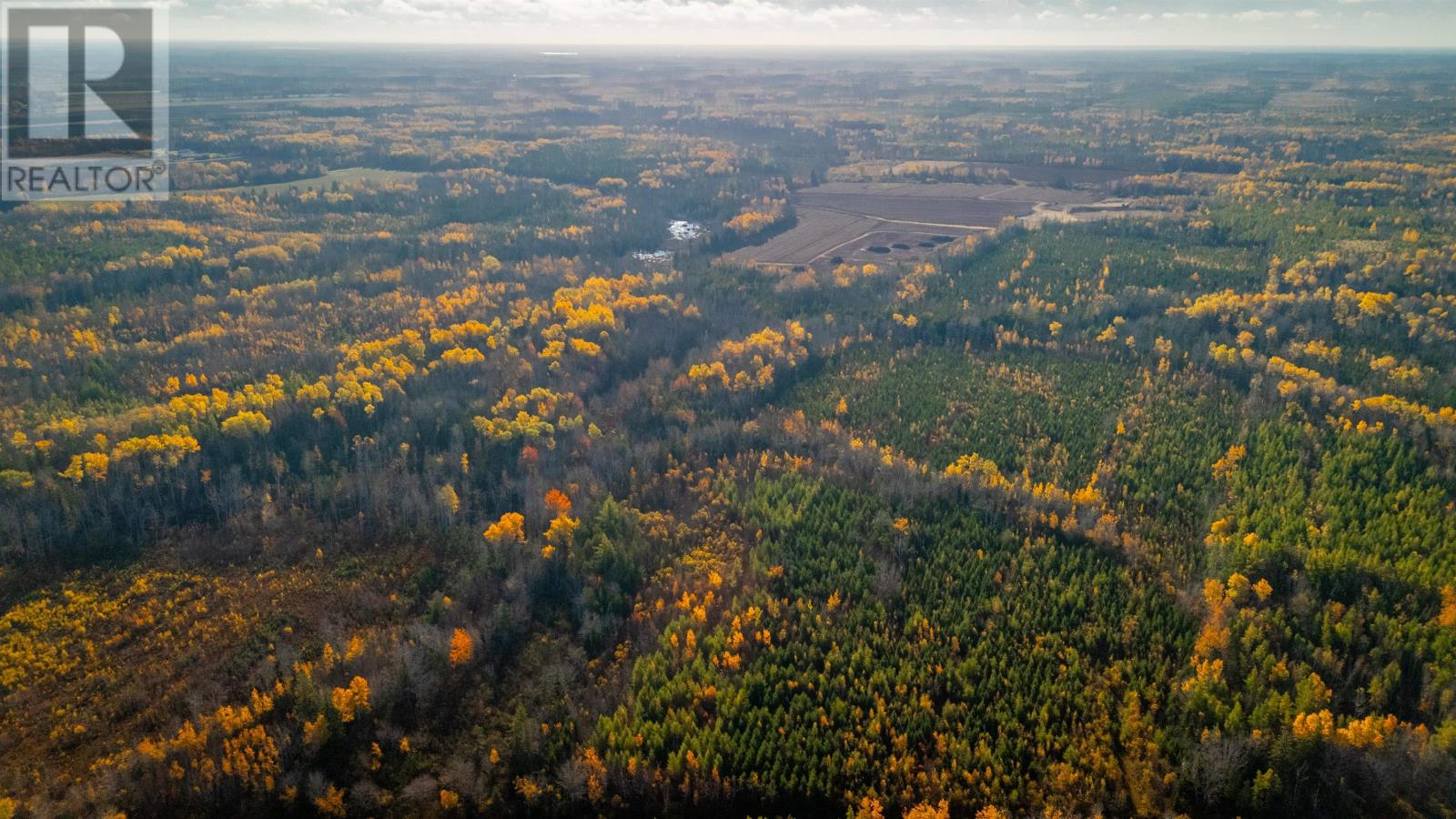 Acreage Doyle Road, Glengarry, Prince Edward Island  C0B 1E0 - Photo 26 - 202526639