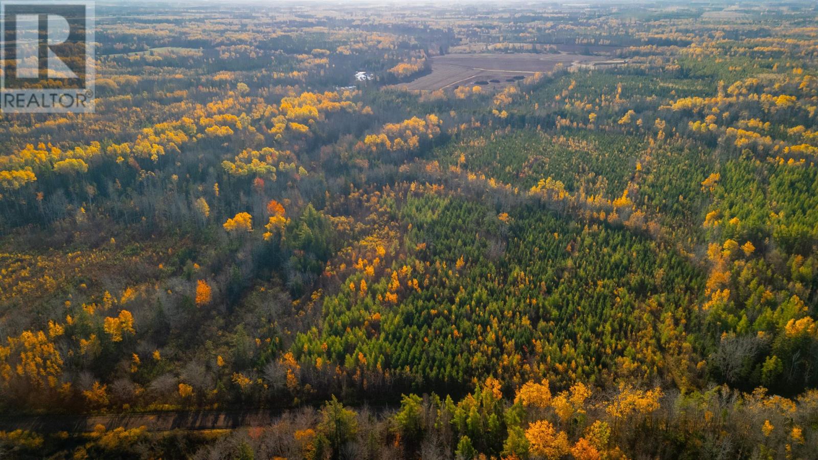 Acreage Doyle Road, Glengarry, Prince Edward Island  C0B 1E0 - Photo 25 - 202526639