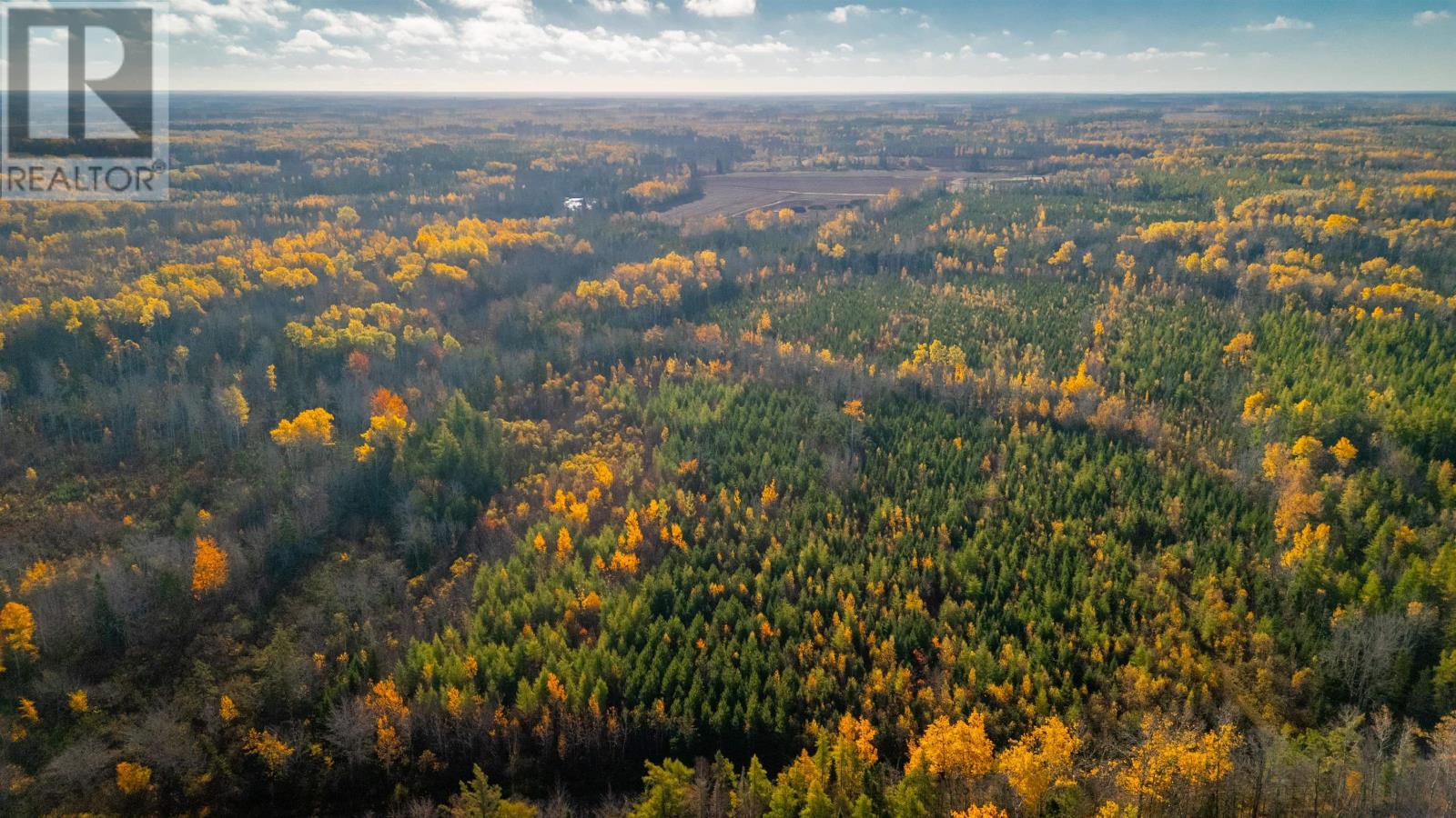 Acreage Doyle Road, Glengarry, Prince Edward Island  C0B 1E0 - Photo 24 - 202526639