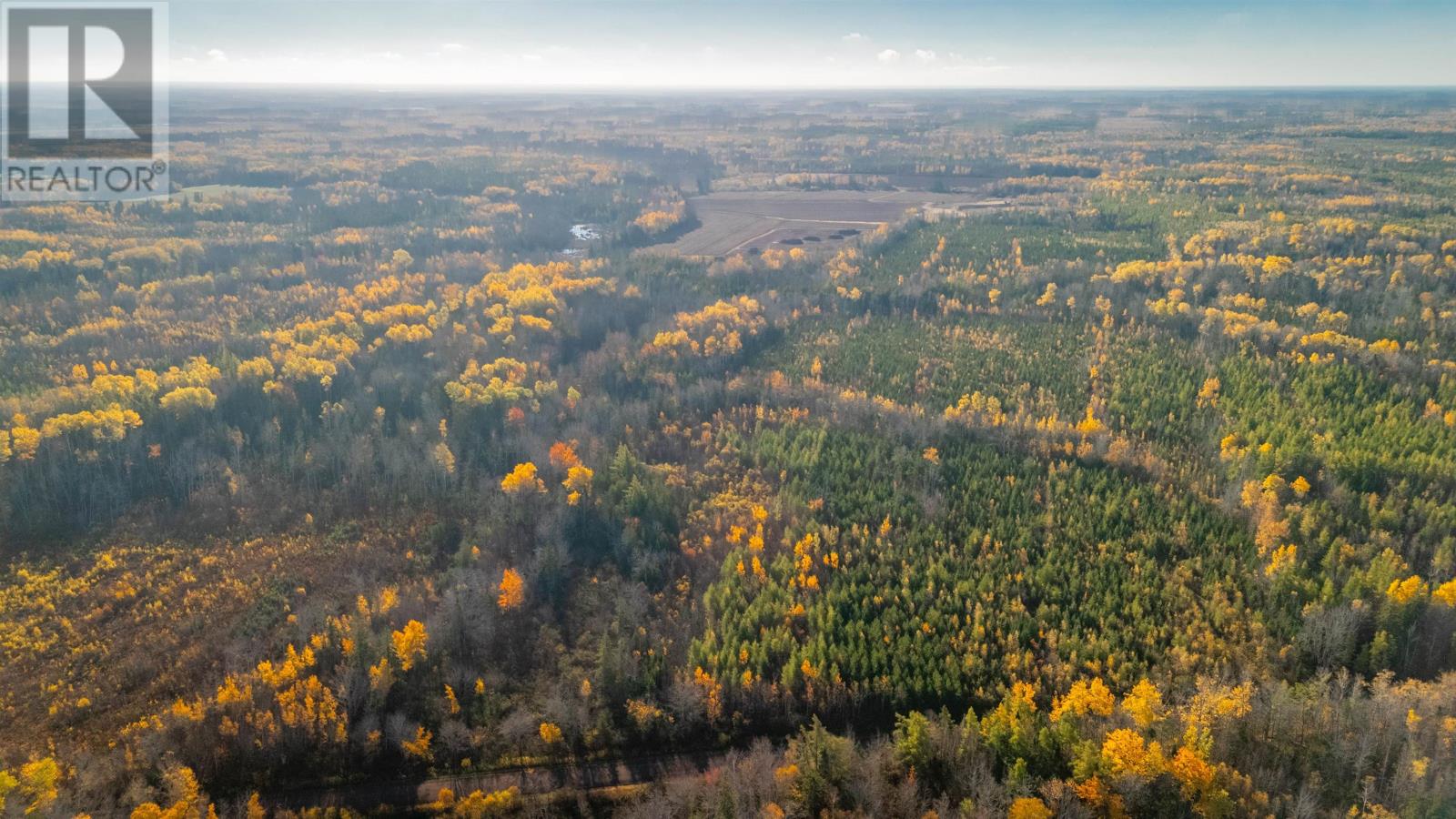 Acreage Doyle Road, Glengarry, Prince Edward Island  C0B 1E0 - Photo 8 - 202526639