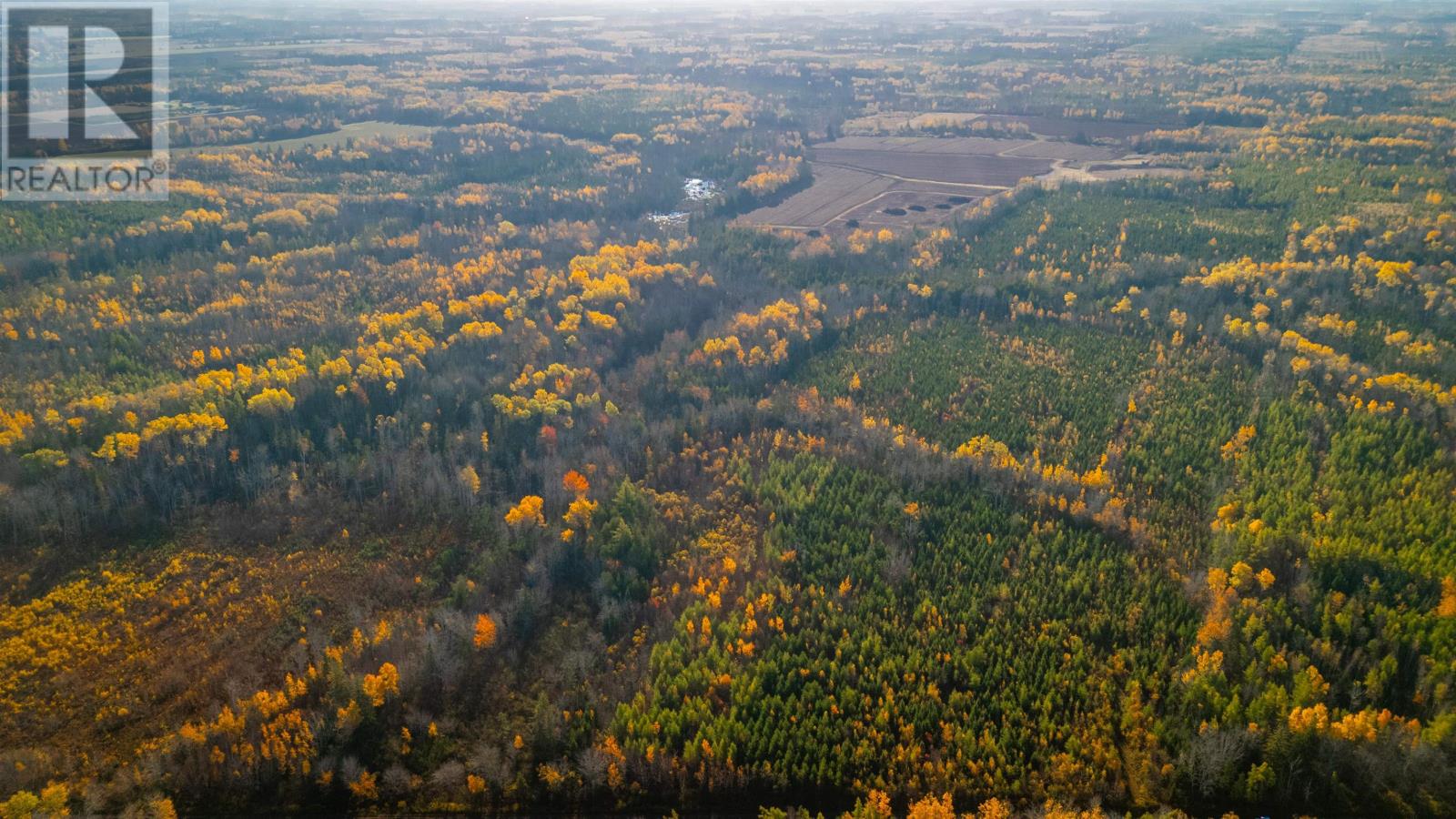 Acreage Doyle Road, Glengarry, Prince Edward Island  C0B 1E0 - Photo 28 - 202526639