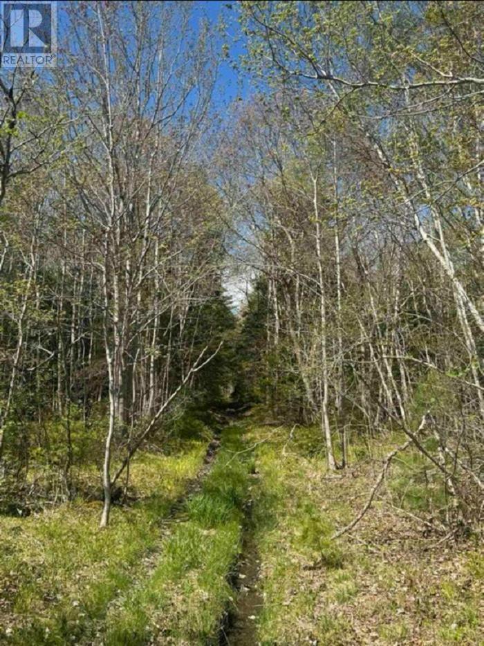 Lot (Pid 70083050) James Street, Brooklyn, Nova Scotia  B0J 1H0 - Photo 1 - 202509019