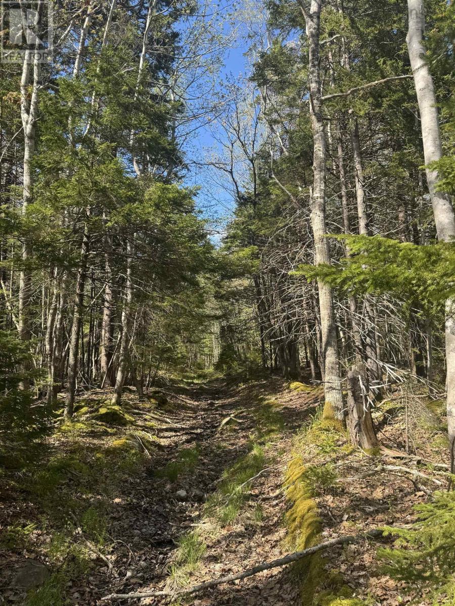 Lot (Pid 70083050) James Street, Brooklyn, Nova Scotia  B0J 1H0 - Photo 6 - 202509019