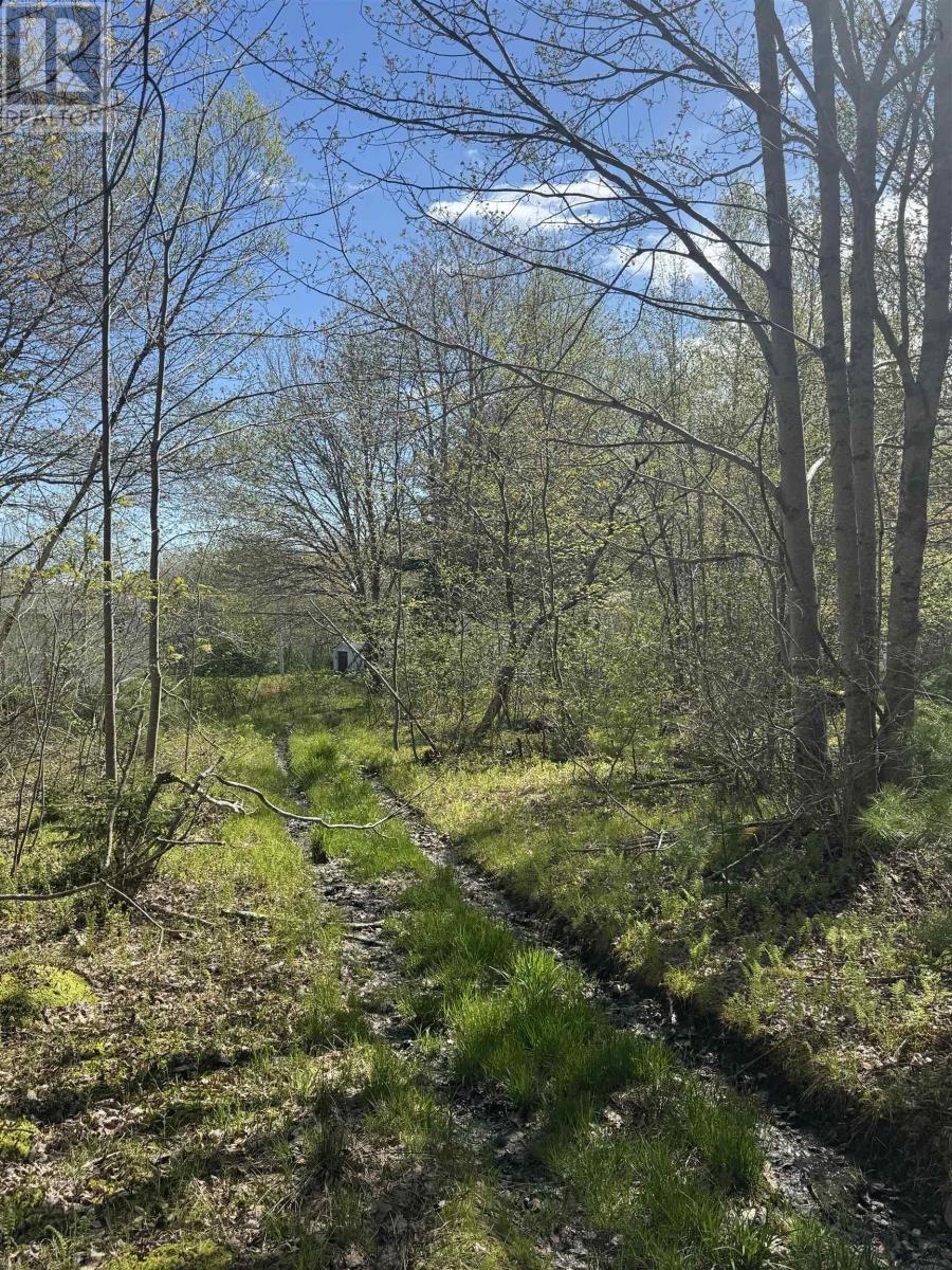 Lot (Pid 70083050) James Street, Brooklyn, Nova Scotia  B0J 1H0 - Photo 4 - 202509019