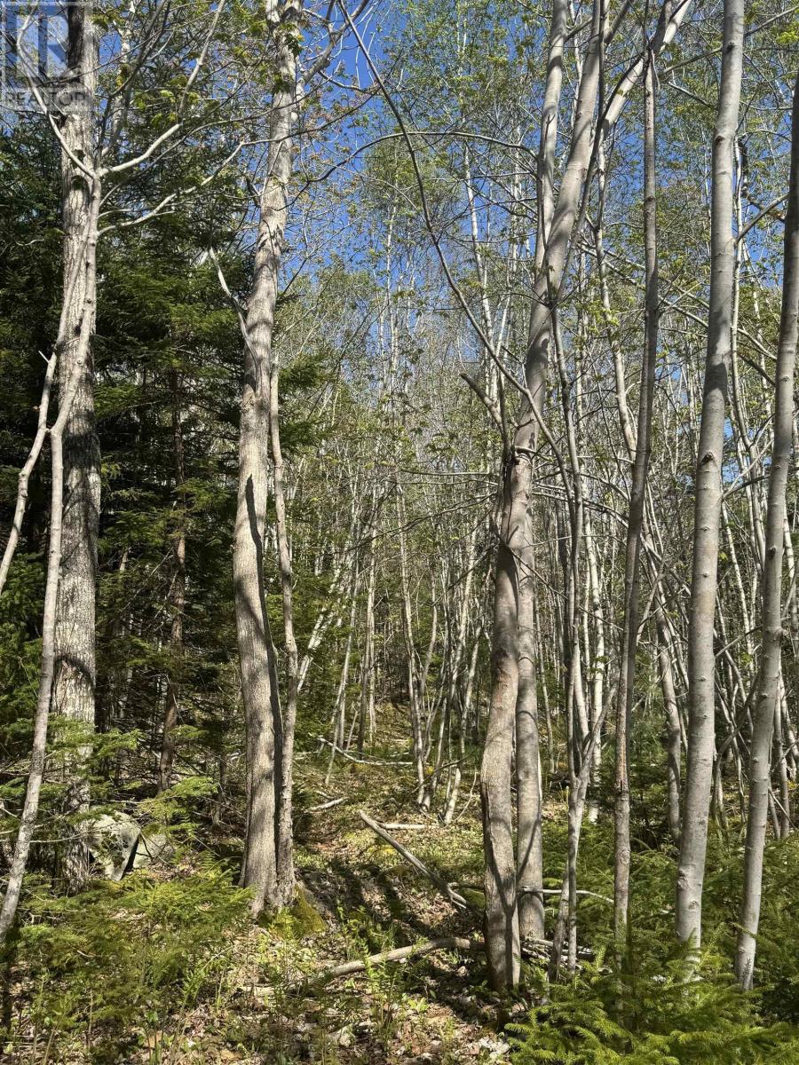 Lot (Pid 70083050) James Street, Brooklyn, Nova Scotia  B0J 1H0 - Photo 2 - 202509019