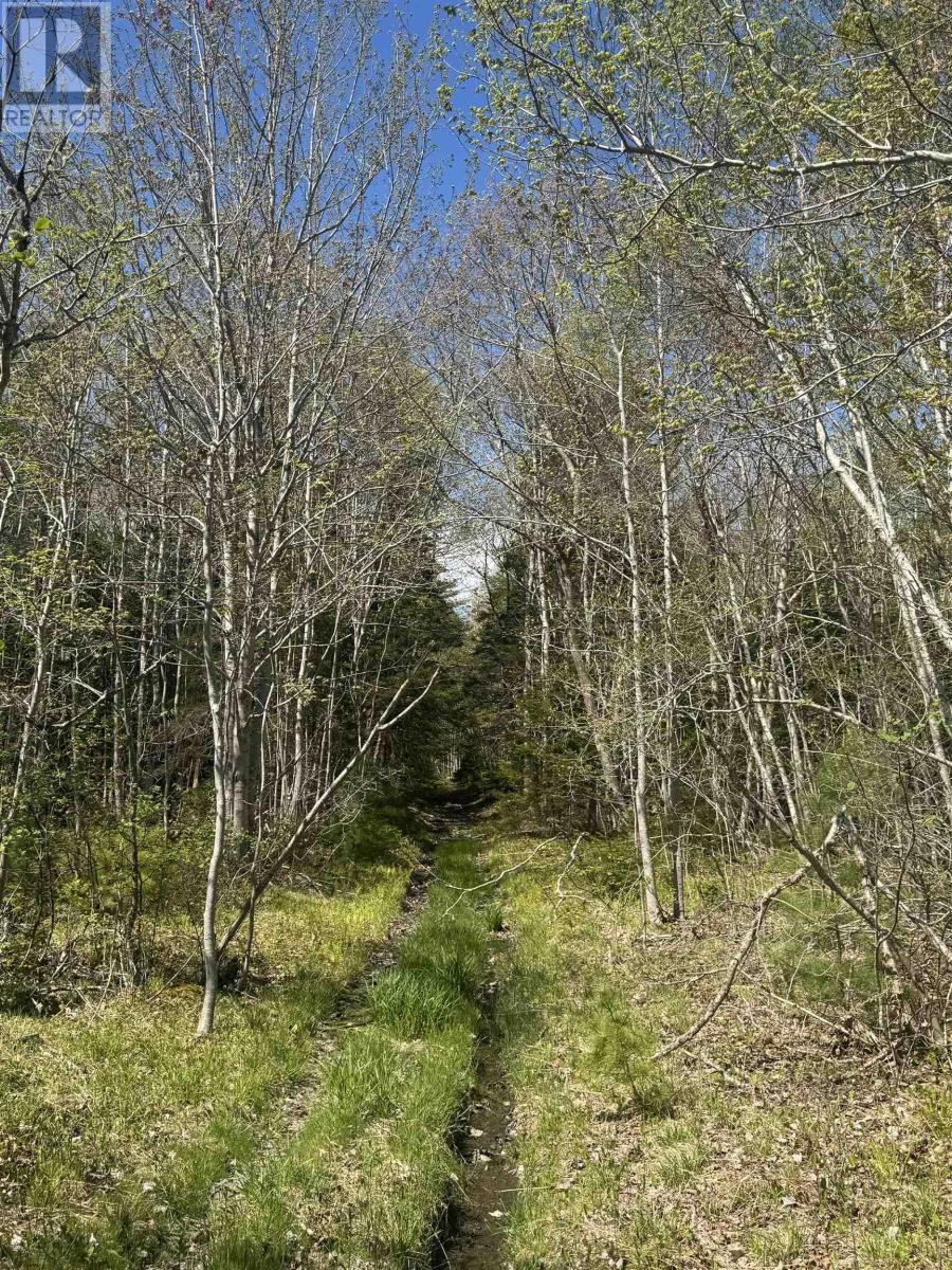 Lot (Pid 70083050) James Street, Brooklyn, Nova Scotia  B0J 1H0 - Photo 5 - 202509019