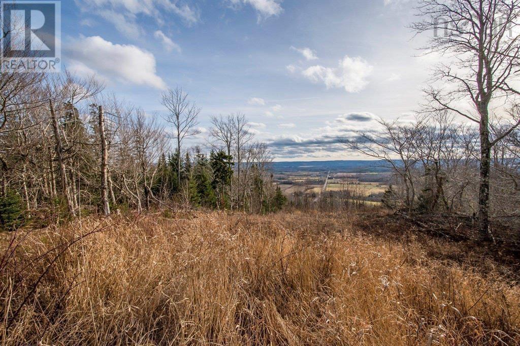 894 Morden Road, Weltons Corner, Nova Scotia  B0P 1C0 - Photo 47 - 202524921