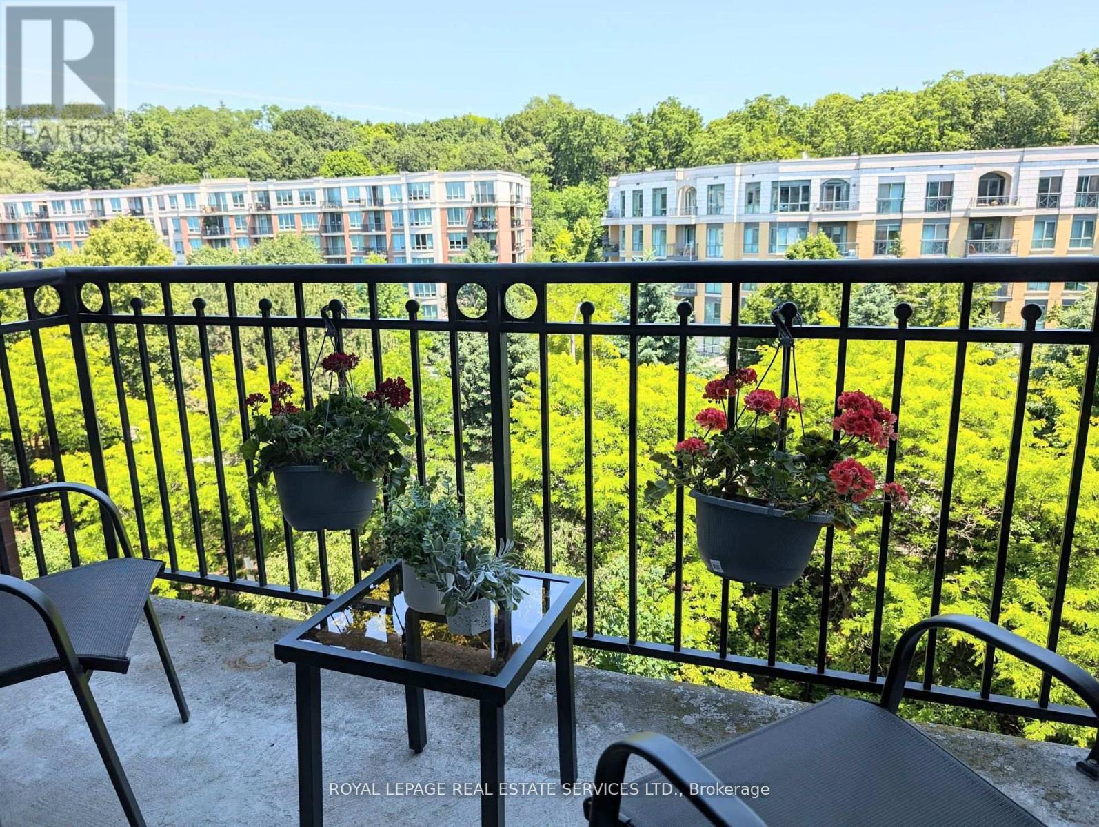 811 - 18 William Carson Crescent, Toronto, Ontario  M2P 2G6 - Photo 29 - C12483939