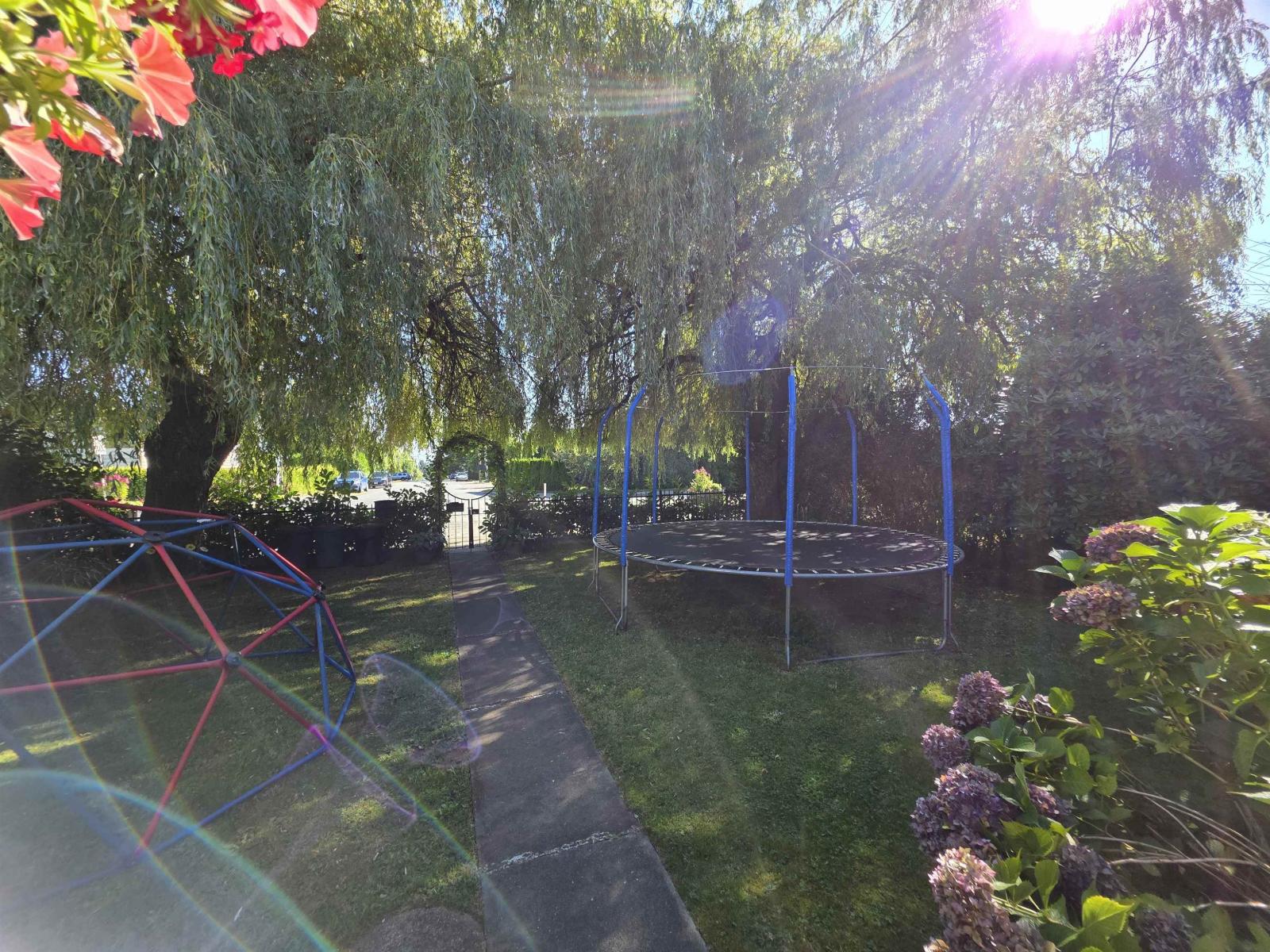 33497 7th Avenue, Mission, British Columbia  V2V 2E6 - Photo 35 - R3039949