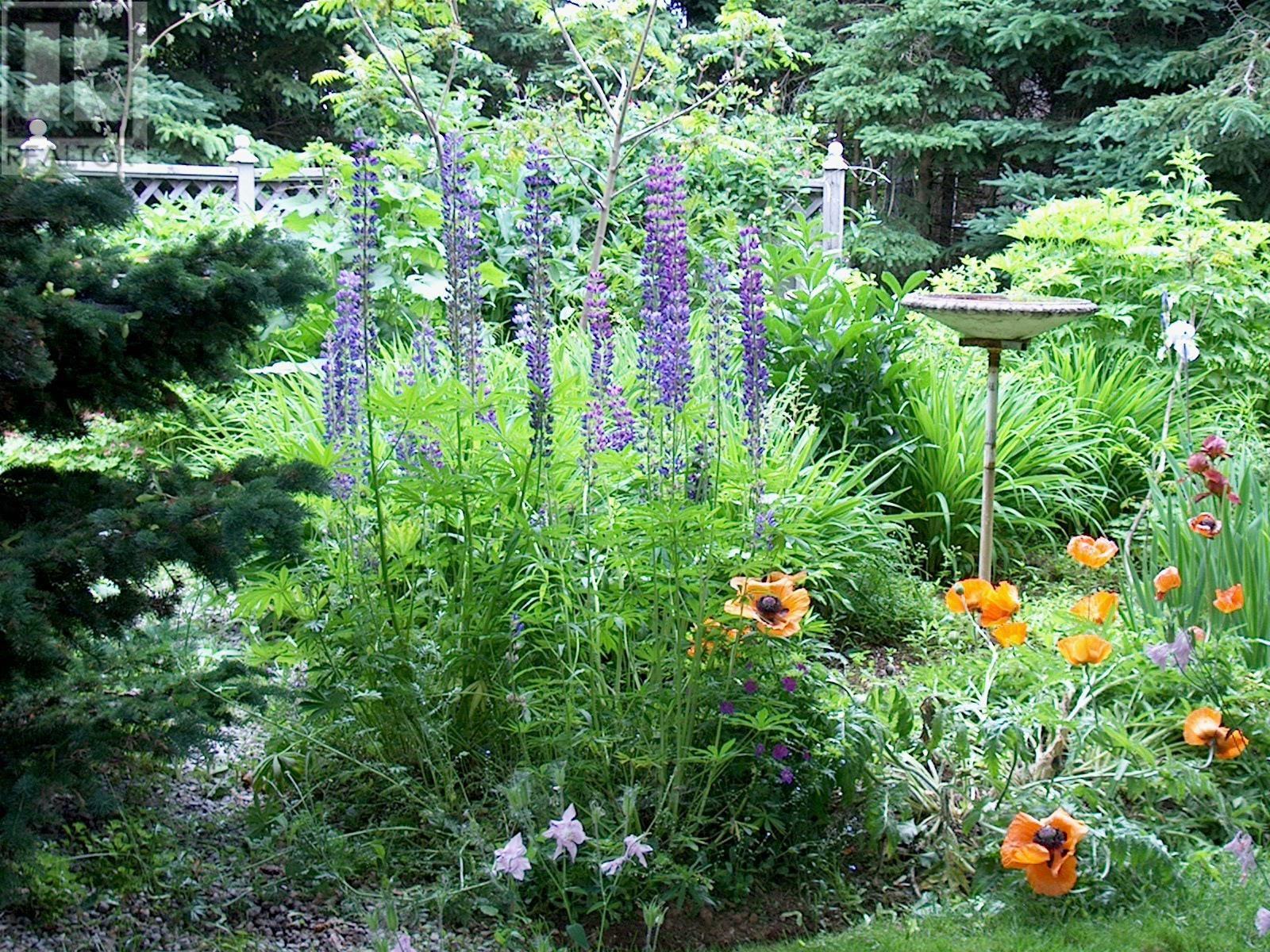 20 Avonlea Drive, Charlottetown, Prince Edward Island  C1C 1C7 - Photo 27 - 202526269