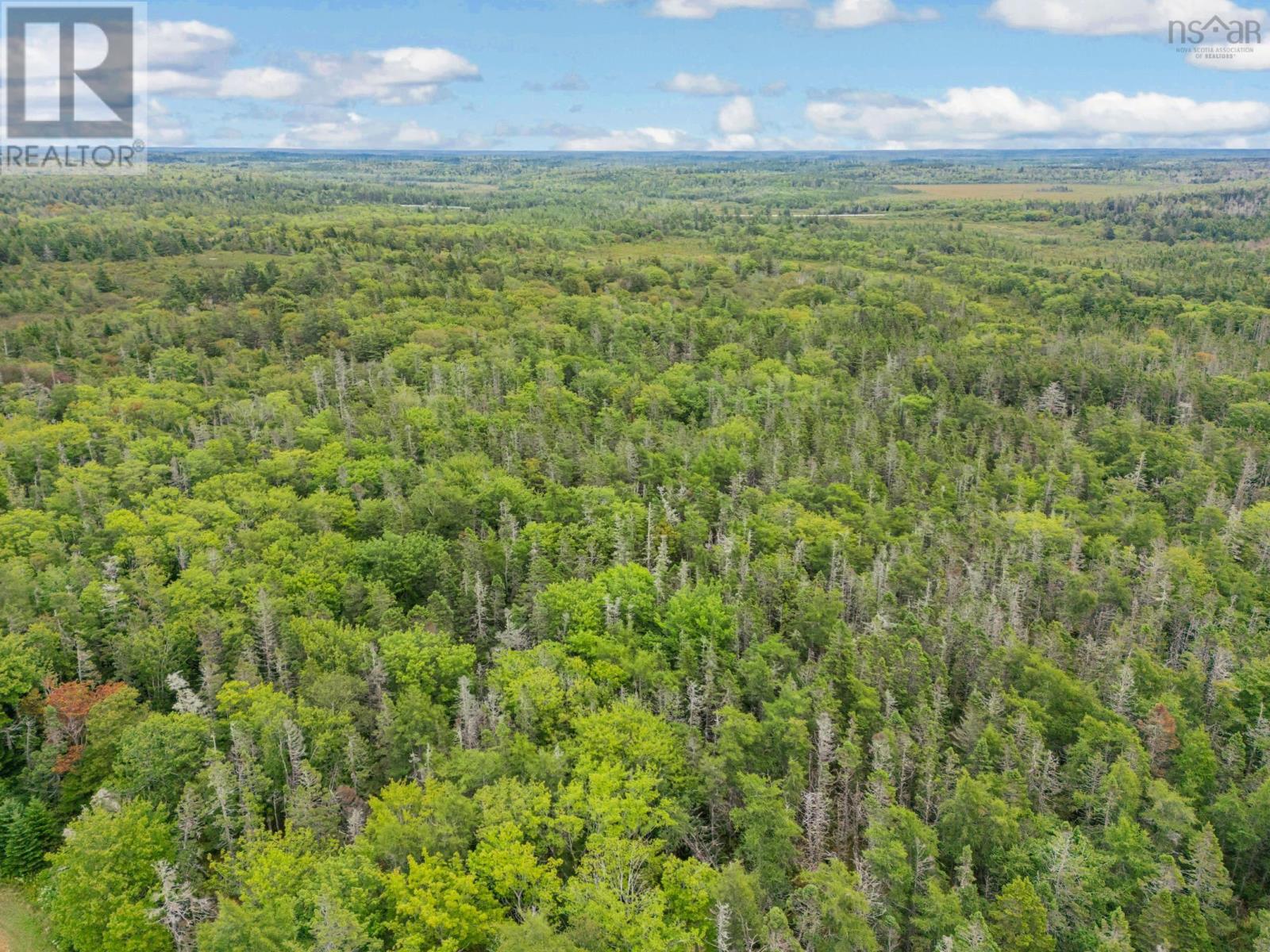 8 C Boudreau Road, Mavillette, Nova Scotia  B5A 5B3 - Photo 40 - 202523209