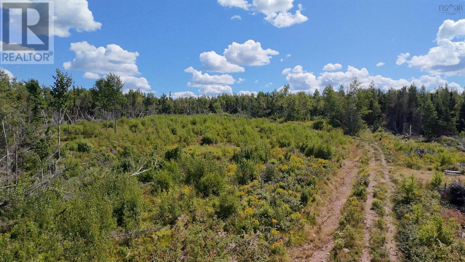 0 Lot Dalhousie Road, Loganville, Nova Scotia  B0K 1R0 - Photo 6 - 202521382