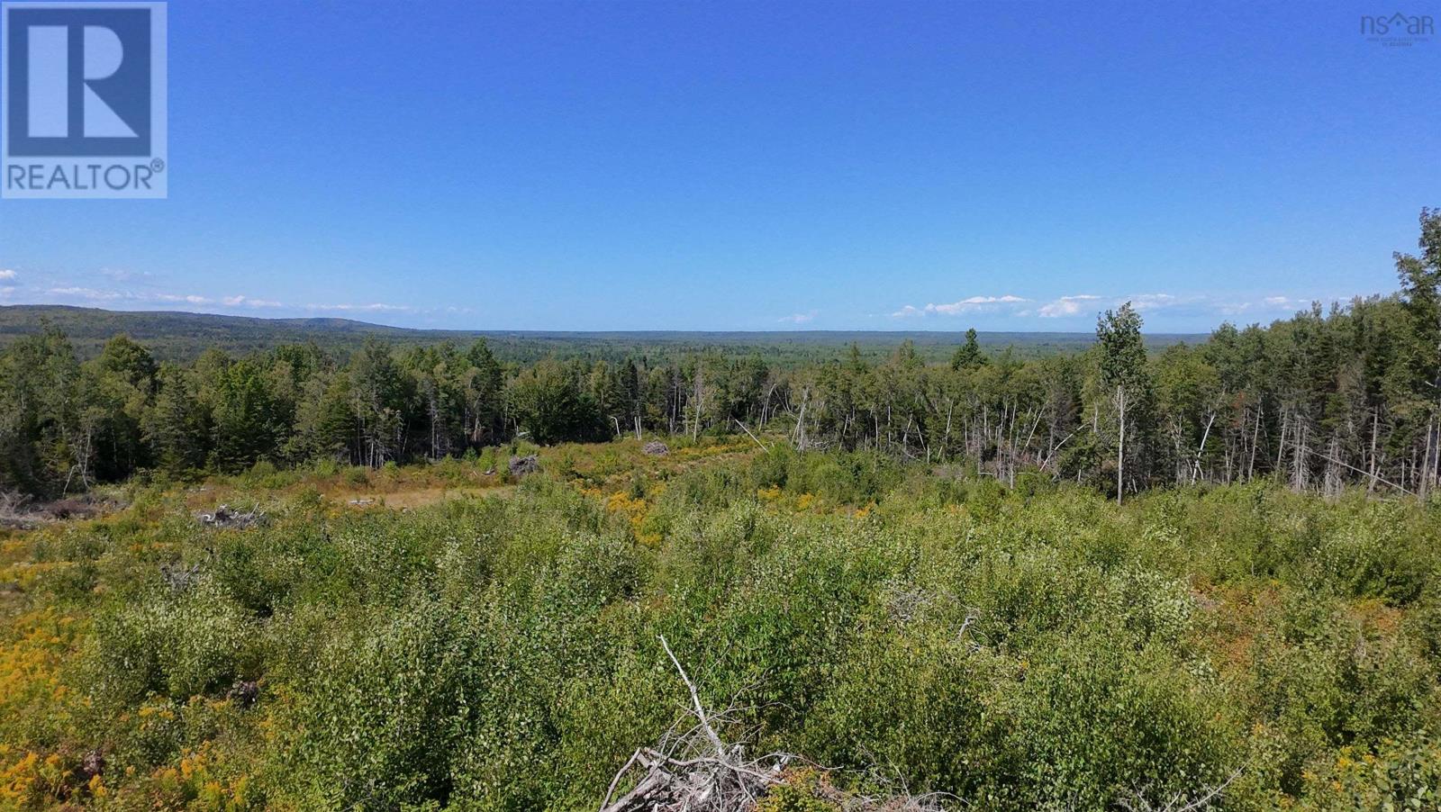 0 Lot Dalhousie Road, Loganville, Nova Scotia  B0K 1R0 - Photo 11 - 202521382