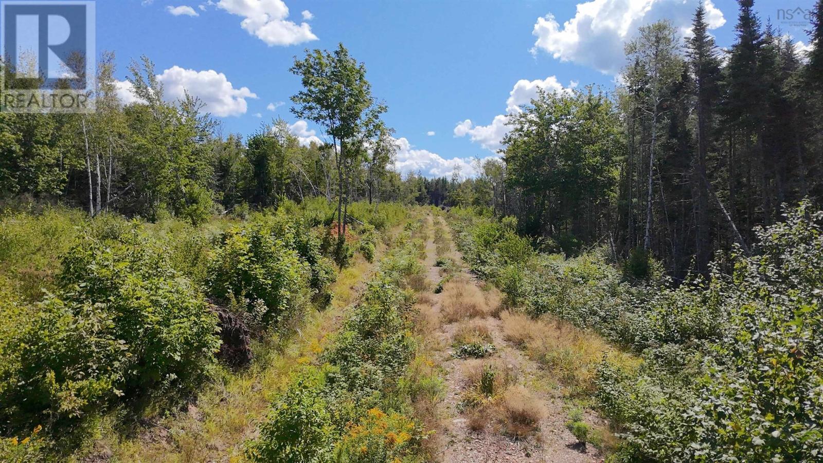 0 Lot Dalhousie Road, Loganville, Nova Scotia  B0K 1R0 - Photo 5 - 202521382