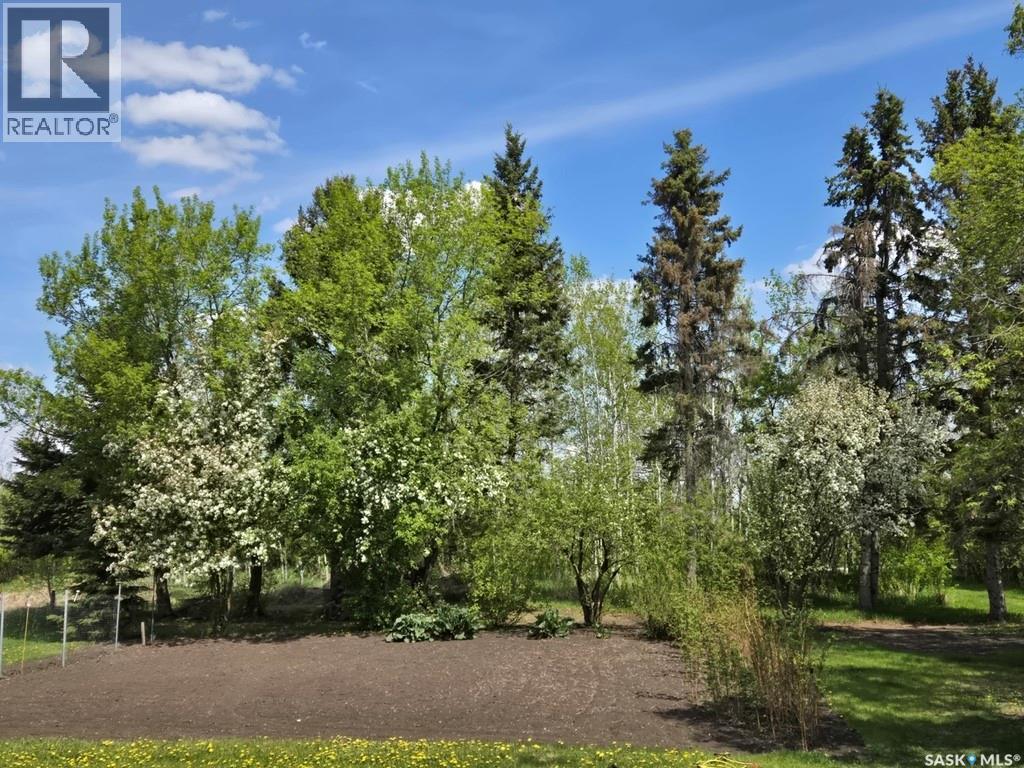 107 Main Street, Spiritwood Rm No. 496, Saskatchewan  S0J 1V0 - Photo 43 - SK021695