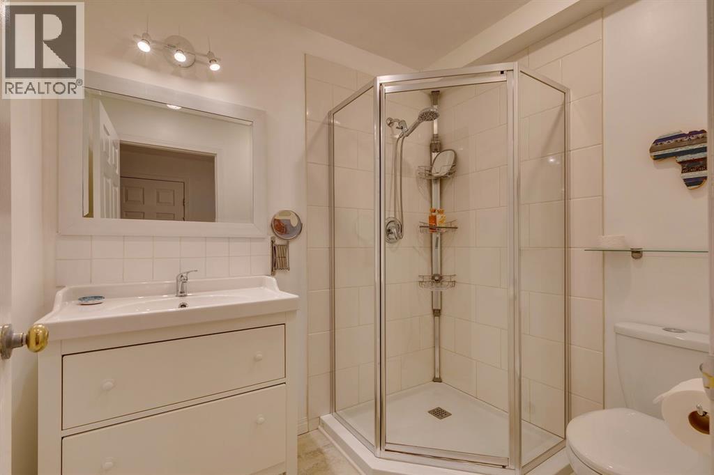 1145 Sunlake Link Se, Calgary, Alberta  T2X 3G8 - Photo 36 - A2261578