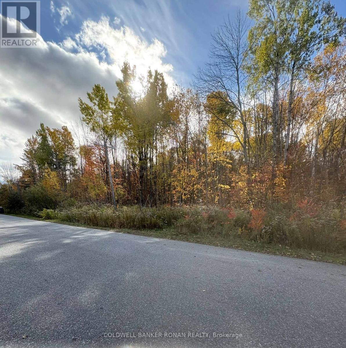 140 Fernwood Drive, Gravenhurst, Ontario  P1P 1P4 - Photo 30 - X12483975