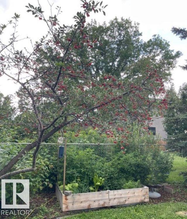 11531 78 Av Nw, Edmonton, Alberta  T6G 0N4 - Photo 27 - E4463646